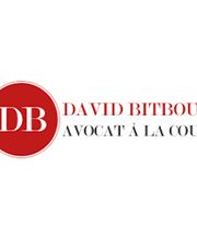 Bitboul David image 1
