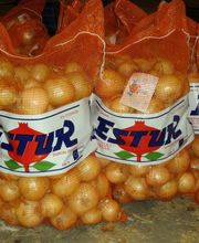 CEBESTUR,S.L. imagen 7