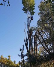 Entreprise Lecoq image 13