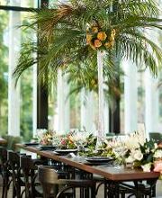 Restaurant Palmensaal Bild 2