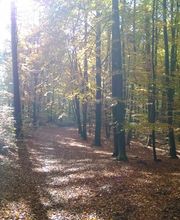 FriedWald Mühlenbecker Land Bild 5