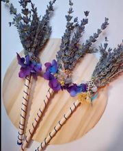 TIERRA Y ESTRELLAS imagen 8