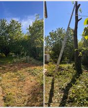 Entretien Jardin 47 image 10