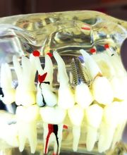 Zahnarztpraxis D. Mugescu Bild 6