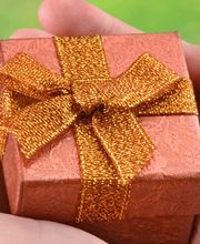 Maintain GmbH Bild 2