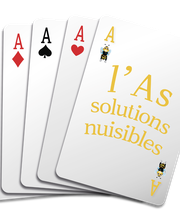 L'As du Vert image 1