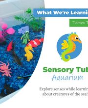 Safari Kid Montessori - Mission image 16