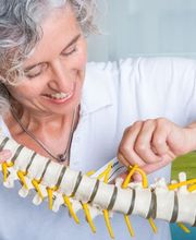 Rücken Center med. Bild 14