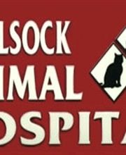 Loyalsock Animal Hospital image 10
