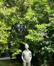 Armando Pinto Sàrl Bild 8