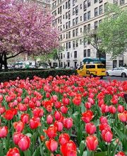 Specialty Aesthetic Surgery image 7