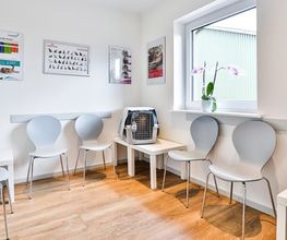 Kleintierpraxis Petersen Bild 2