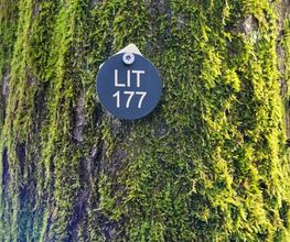 FriedWald Litermont Bild 2