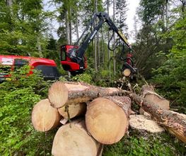Passion Forêt SA Bild 1