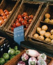 Gärtnerei Huber Pfedelbach Bild 1