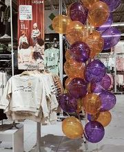 Orchestra Beauvais Allonne image 5