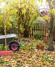 All Around Service Bild 5