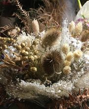 Au Jardin D'eden image 2