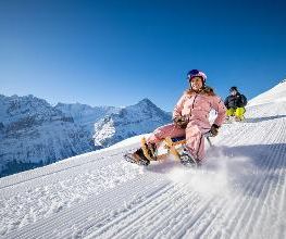 Jungfrau Ski Region - Kleine Scheidegg - Männlichen - Wengen Bild 6