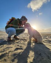 KOCK'S DOGS - Hundetraining Bild 4