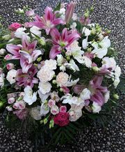 La Tulipe Noire image 17