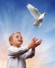 Evangelismo a fondo imagen 6