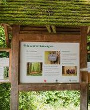 FriedWald Schwaigern Bild 2