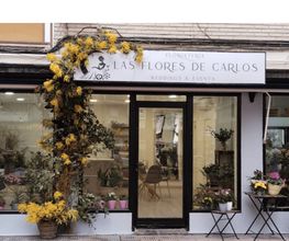 Las Flores de Carlos imagen 6