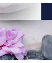 Beauty Solutions Institute Bild 4