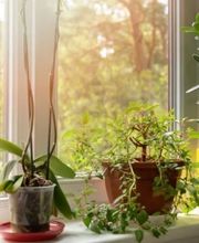 Gartenbau Stefan Lampert Bild 3