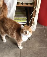 Bochard Cédric image 6