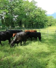 Clos du Château - Dugerdil Lionel & Nathalie Bild 7