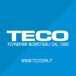 Teco Spa logo