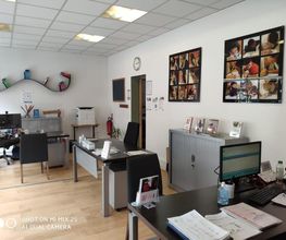 Acadomia image 13