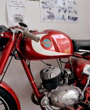 Gallery Professionale