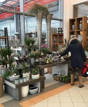 Blumen Interfleur Floristik & Wohnaccessoires Bild 2