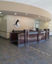 Caring Hands Animal Hospital - Clarendon image 3