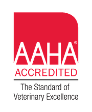 Middendorf Animal Hospital & Laser Centre image 13