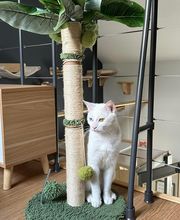 Le CHATel hôtel image 10