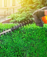 Établissement LG image 5