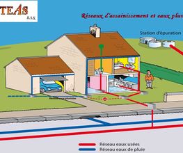 Steas image 4