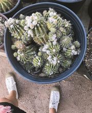 Dig It Gardens image 14