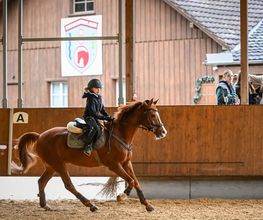 Reitsportzentrum St. Josefen AG Bild 9