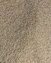 Ropars Gildas image 16