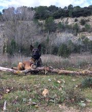Les Amis de Juliette image 1