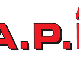 A . P . I . image 8
