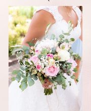 Mélina Andraud Fouquet Photographie image 16