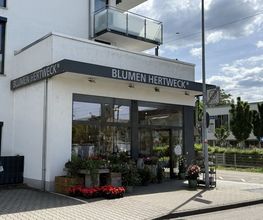 Blumen Hertweck Bild 1