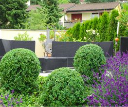 Beyeler Guido, Gartenpflege GmbH Bild 1