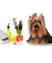 Au Bonheur Canin image 4